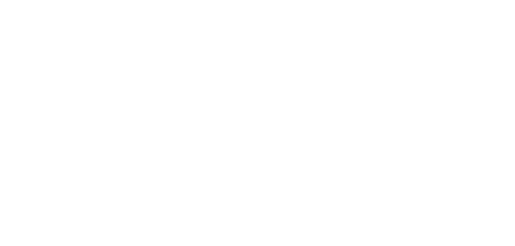 Aktiva Financiera