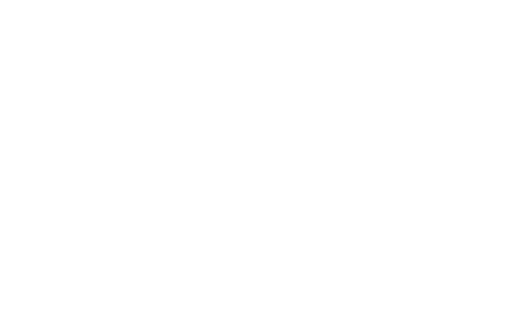 Aktiva Financiera